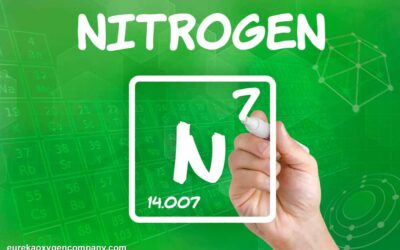 What is Nitrogen & What is It Used for?