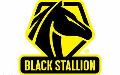 Brand Spotlight: Black Stallion® Gloves